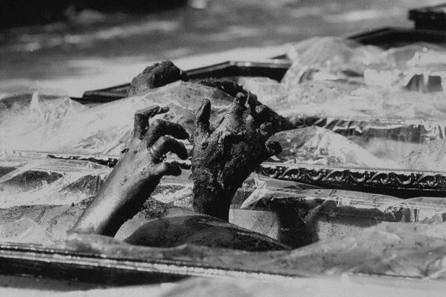 Se cumplen 37 años del accidente del camping de Los Alfaques Se cumplen 37 años del accidente del camping de Los Alfaques